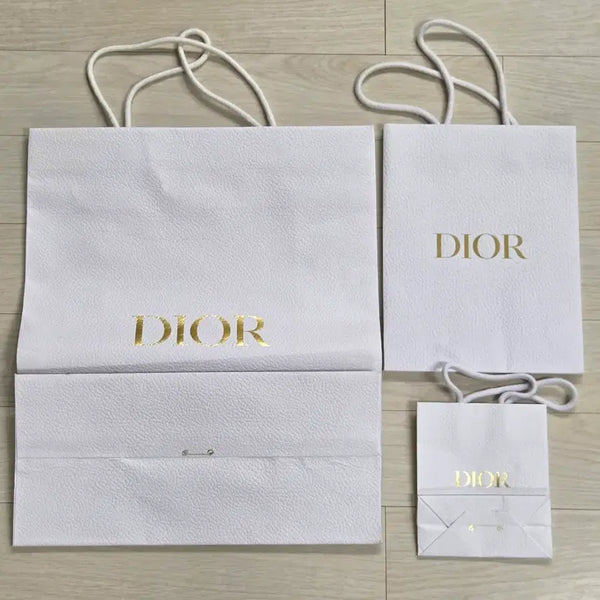 [BUNJANG] Dior Shopping Bag Set (3 Sizes) / DIOR 디올 쇼핑백 3종 세트