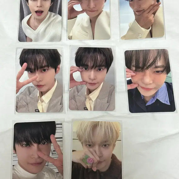 [BUNJANG] NCT Doyoung Bundle Set Photocard / 엔시티 도영 포카 일괄