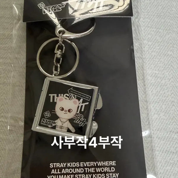 [BUNJANG] Stray Kids SKZOO Mirror Keyring Jiniret Hyunjin / 원가)스키즈 디스앤댓 팝업 스키주 거울키링 지니렛 현진
