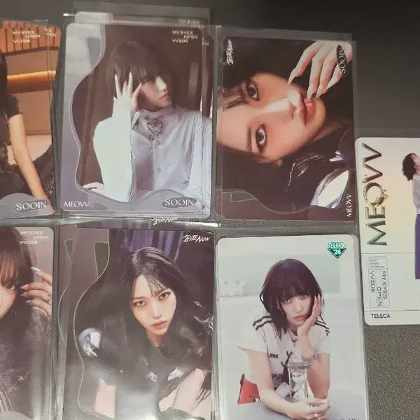 [BUNJANG] Tererika Miyao Animal 7 Types Bundle Set / 테레카 미야오 수인 7종 총 18장 일괄 팝니다.