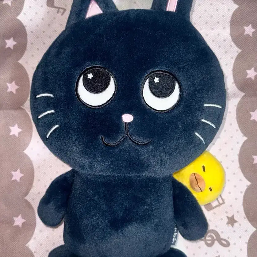 [BUNJANG] RIIZE Wonbin Toy Cat 40cm Plush / 라이즈 원빈 토냥덕 40cm