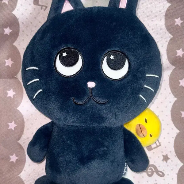 [BUNJANG] RIIZE Wonbin Toy Cat 40cm Plush / 라이즈 원빈 토냥덕 40cm