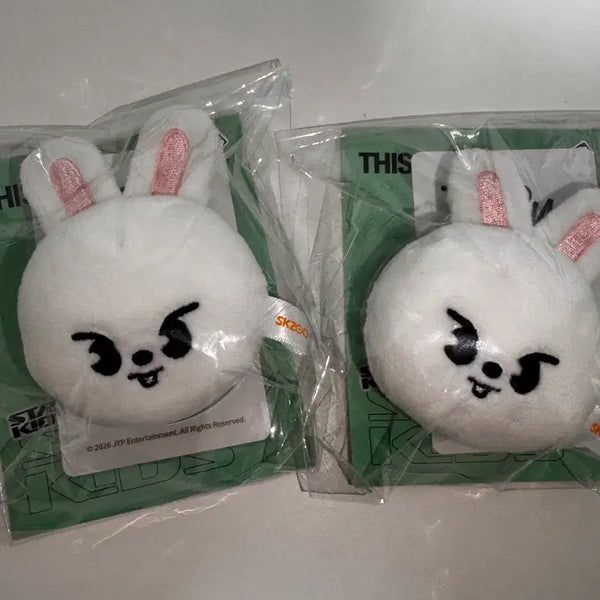 [BUNJANG] Stray Kids This & That Popup Magnetic Holder / 스트레이키즈 마그네틱 홀더 리빗 양도