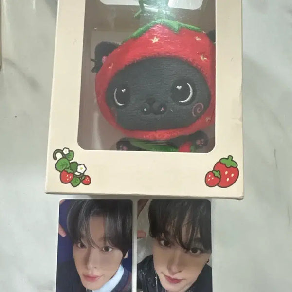 [BUNJANG] NCT WISH Japan Pop-up Wishberry Bakery Strawberry Wishdoll Riku Bundle Set / 엔시티위시 일본 팝업 위시베리 베이커리 딸기 위시돌 리쿠 쿠리