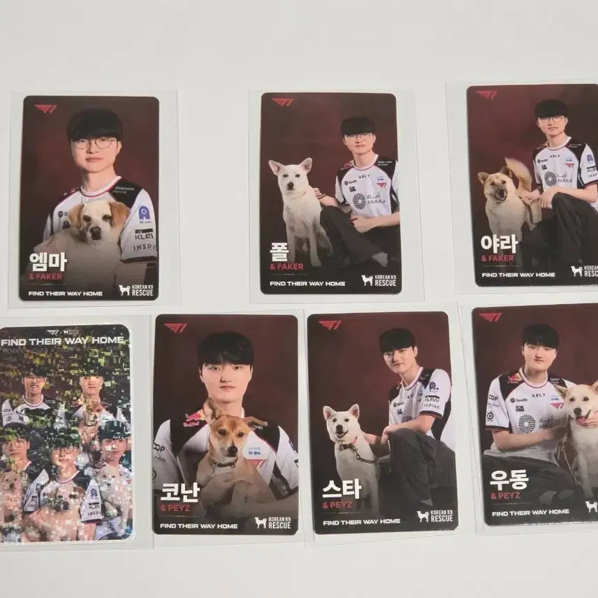 [BUNJANG] T1 Faker & Peyz Photocard Bundle Set / T1 티원 홈그라운드 홈그 kk9r 강아지 페이커 faker 페이즈 peyz 포카 판매