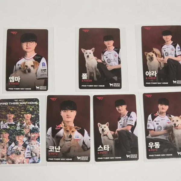 [BUNJANG] T1 Faker & Peyz Photocard Bundle Set / T1 티원 홈그라운드 홈그 kk9r 강아지 페이커 faker 페이즈 peyz 포카 판매