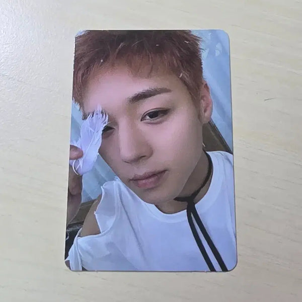 [BUNJANG] Park Jihoon Reflect Album Photocard / 박지훈 리플렉트트 앨범포카