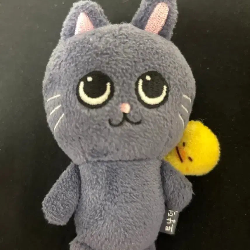 [BUNJANG] RIIZE Wonbin Little RIIZE Lyz Baby Cat/Chick Plush 8cm / 라이즈 원빈 리틀라이즈 리라즈 베이비 토냥덕 8cm 양도