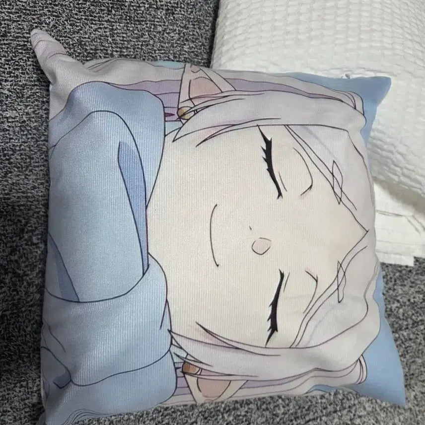 [BUNJANG] Frieren Cushion 40x40cm / 프리렌 베개
