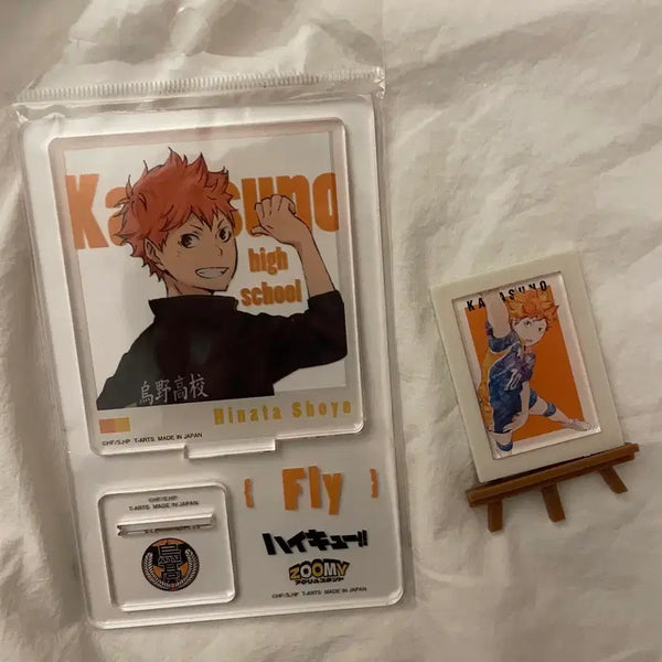 [BUNJANG] Hinata Acrylic Set / 히나타 아크릴 일괄