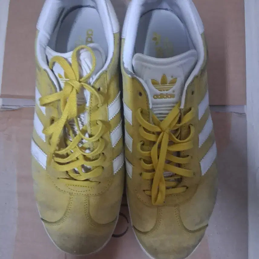 [BUNJANG] Adidas Gazelle Suede Yellow / 아디다스 가젤 스웨이드 옐로우(오염이 제일 심함)
