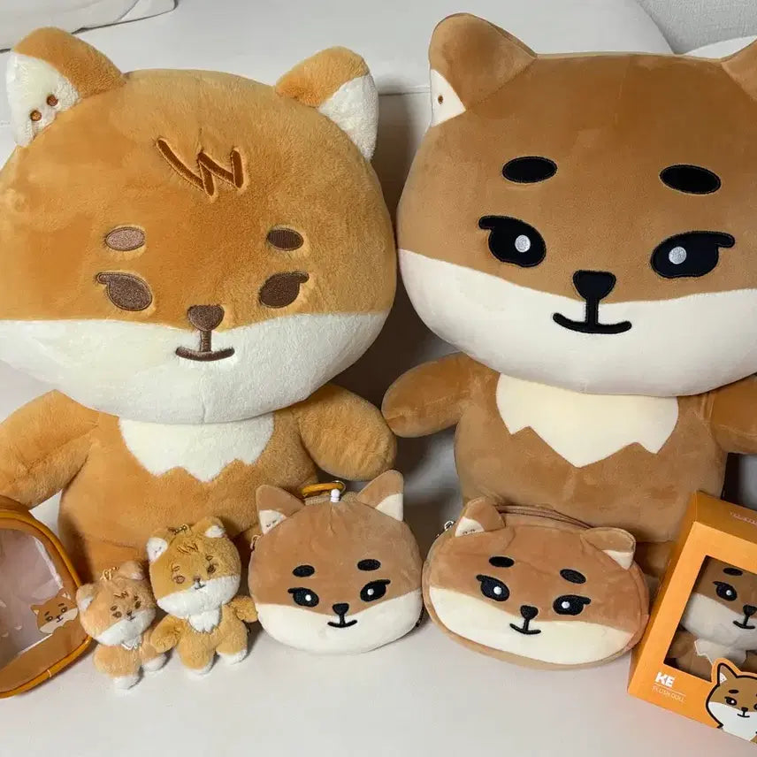 [BUNJANG] Young K MD Bundle Set / 영케이 엠디 일괄