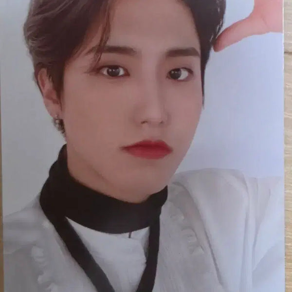 [BUNJANG] Stray Kids HAN Nesipac Photocard / 스트레이키즈 한 네시픽 포카