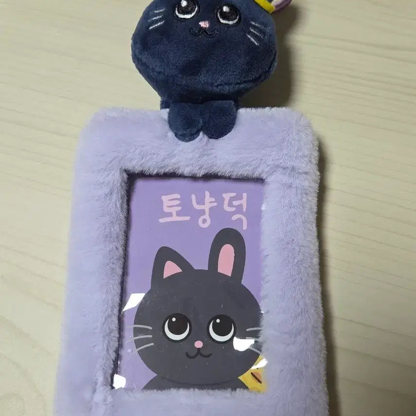 [BUNJANG] Riize Wonbin Lyz Collection Photocard Holder / 라이즈 원빈 토냥덕 리라즈 포카홀더 riize wonbin