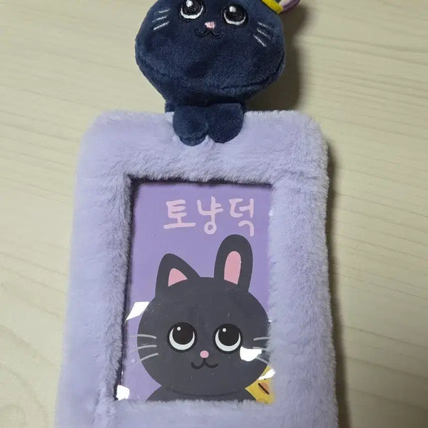 [BUNJANG] Riize Wonbin Lyz Collection Photocard Holder / 라이즈 원빈 토냥덕 리라즈 포카홀더 riize wonbin