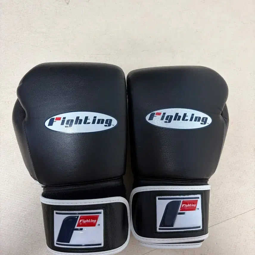 [BUNJANG] Fighting Fury Boxing Gloves 12oz / 파이팅 퓨리 복싱글러브12온스 팝니다