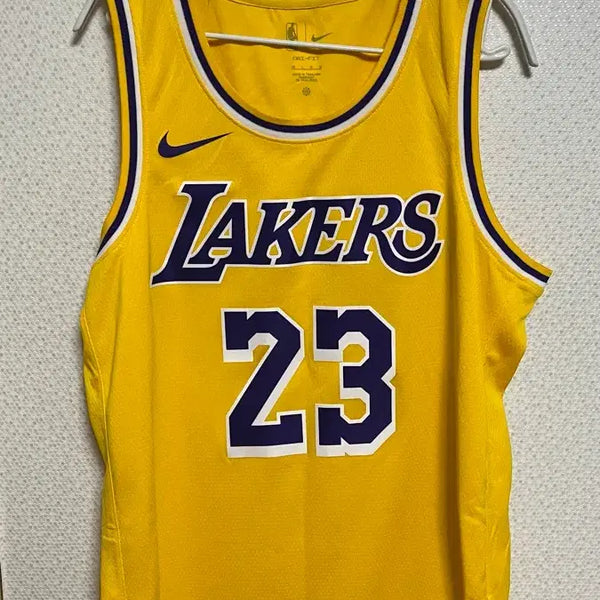 [BUNJANG] Nike Los Angeles Lakers LeBron James #23 Swingman Jersey Size L / 나이키 LA레이커스 르브론 제임스 23번 스윙맨 저지 사이즈L