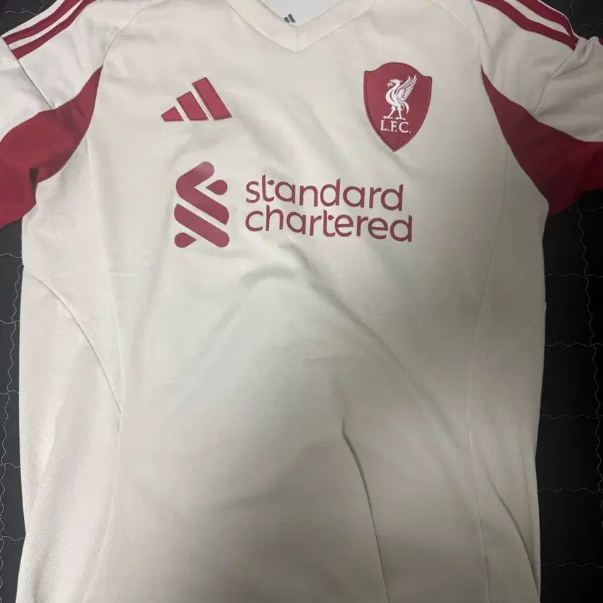 [BUNJANG] Liverpool 25-26 Salah Away Jersey / 리버풀 25-26 살라 어웨이