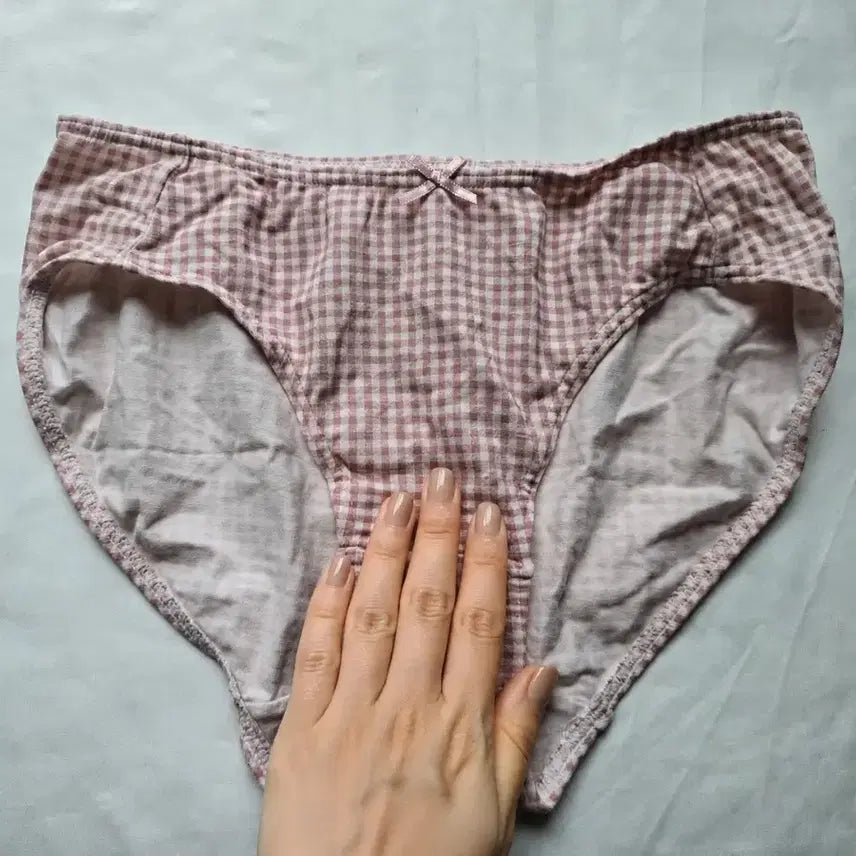 [BUNJANG] Checkered Pattern Underwear Briefs (Used) / 체크무늬 속옷 팬티 (중고)