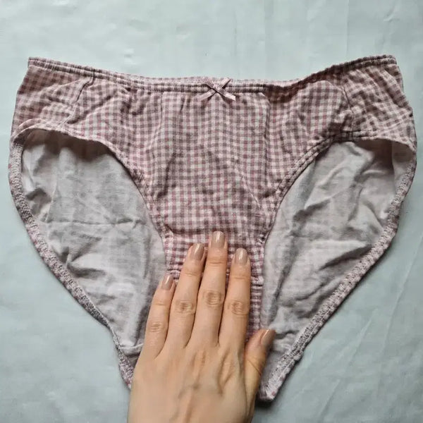 [BUNJANG] Checkered Pattern Underwear Briefs (Used) / 체크무늬 속옷 팬티 (중고)