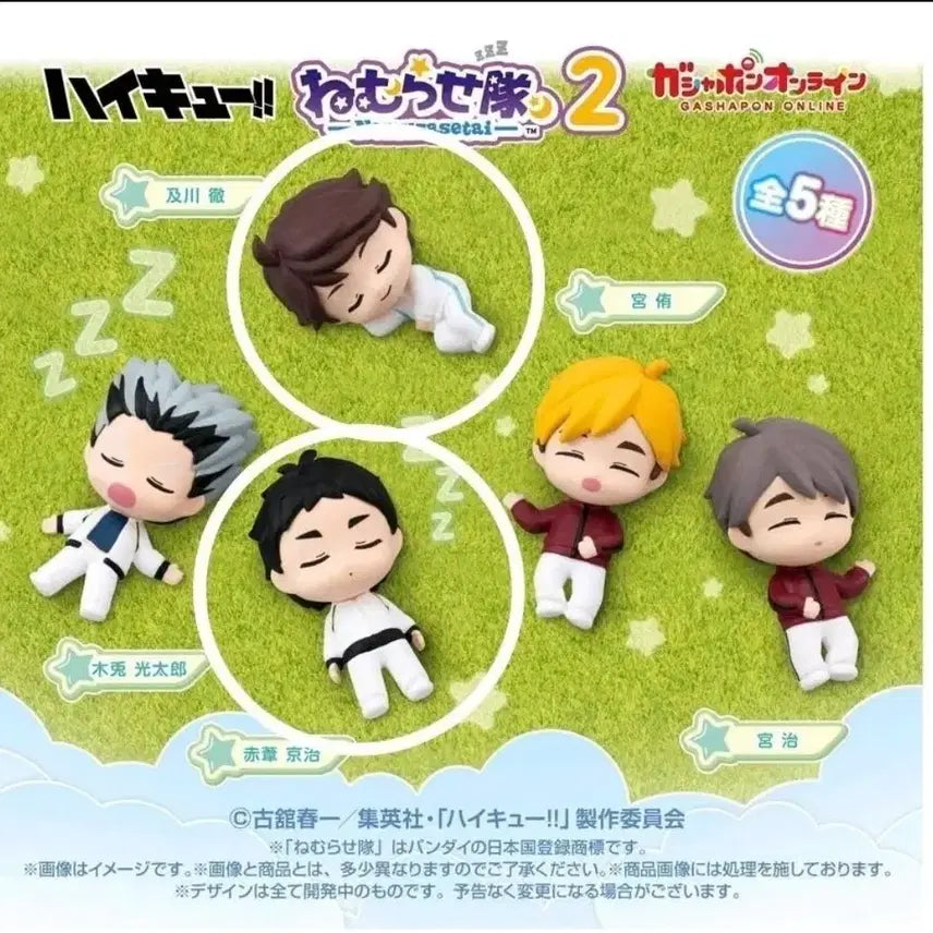 [BUNJANG] Haikyuu!! Nemurasetai Vol. 2 Bundle Set (Keiji Akaashi, Toru Oikawa) / 하이큐 네무라세타이 2탄 일괄
