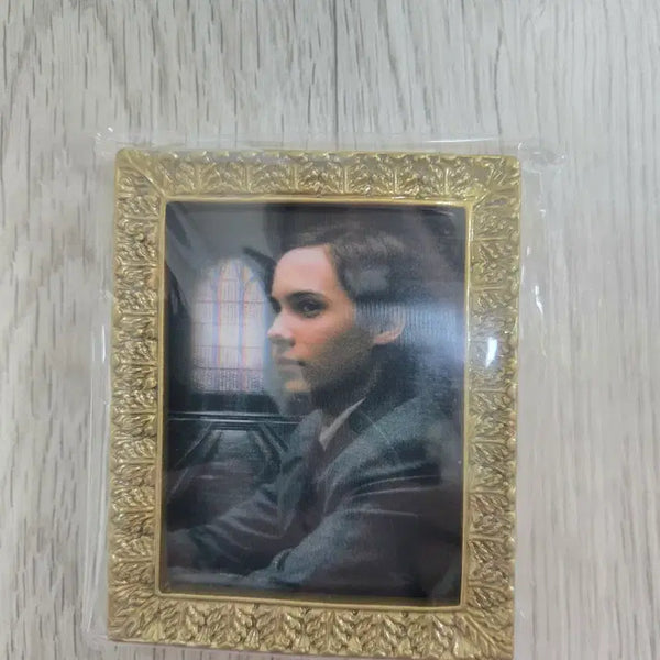 [BUNJANG] Harry Potter Tom Riddle Portrait Magnet / 톰리들 초상화 마그넷 양도합니다