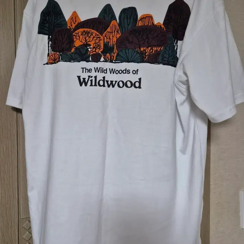 [BUNJANG] Nike ACG T-Shirt White (M) / 나이키 acg 반팔티 M