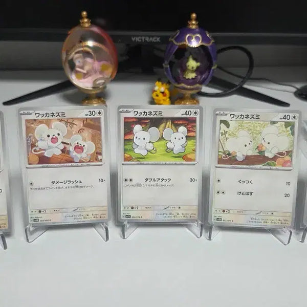 [BUNJANG] Pokemon Cards Sentret and Furret Bundle Set / 포켓몬 카드 두리쥐 파밀리쥐 일괄