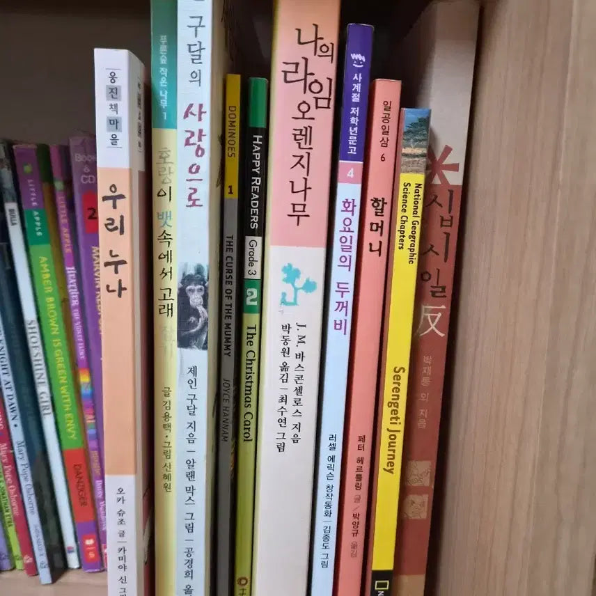 [BUNJANG] Children's Book Bundle / 아동도서 다수