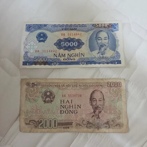 [BUNJANG] Vietnam 2,000 Dong and 5,000 Dong Banknotes / 베트남 2천동, 5천동 지폐
