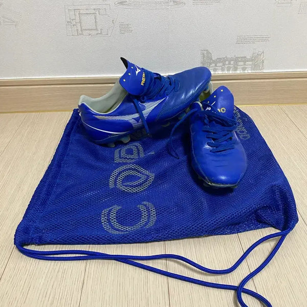 [BUNJANG] Mizuno Rebula Pro 2 MD 250 Football Boots / 미즈노 레뷸라 pro 250