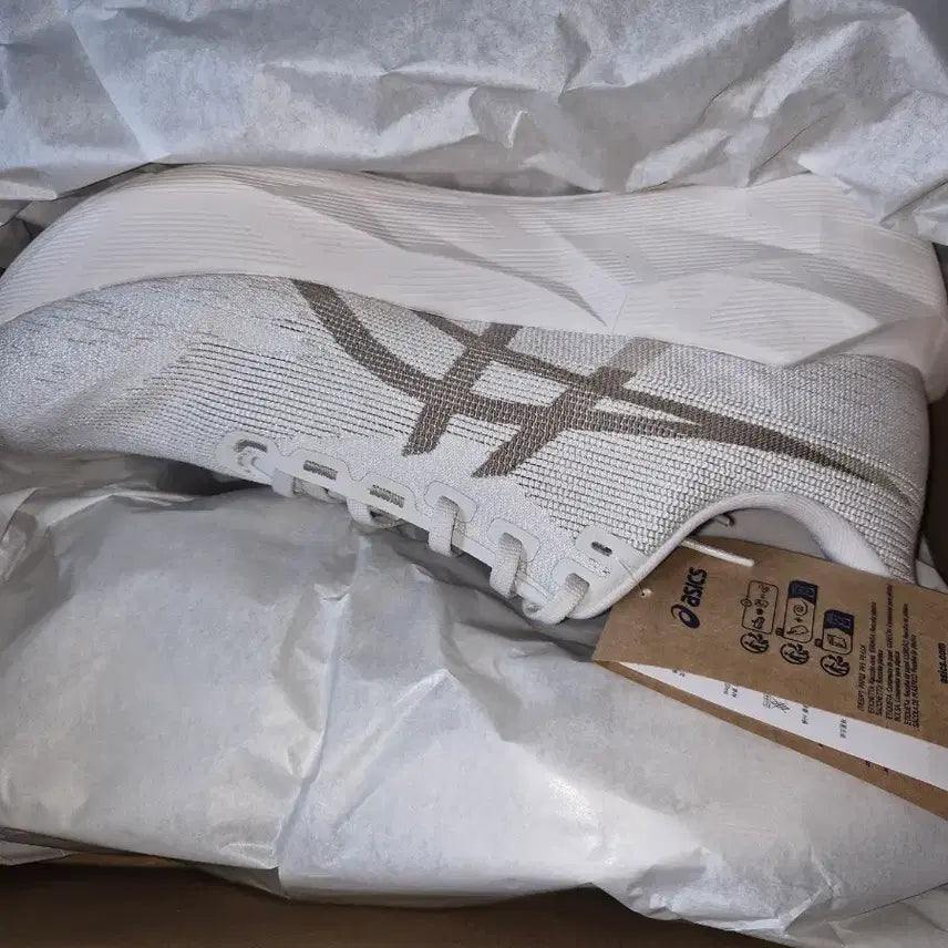 [BUNJANG] Asics NovaBlast 6 Running Shoes (Size 285, New) / (285) 아식스 노바블라스트6 (미사용 ㅡ새상품)