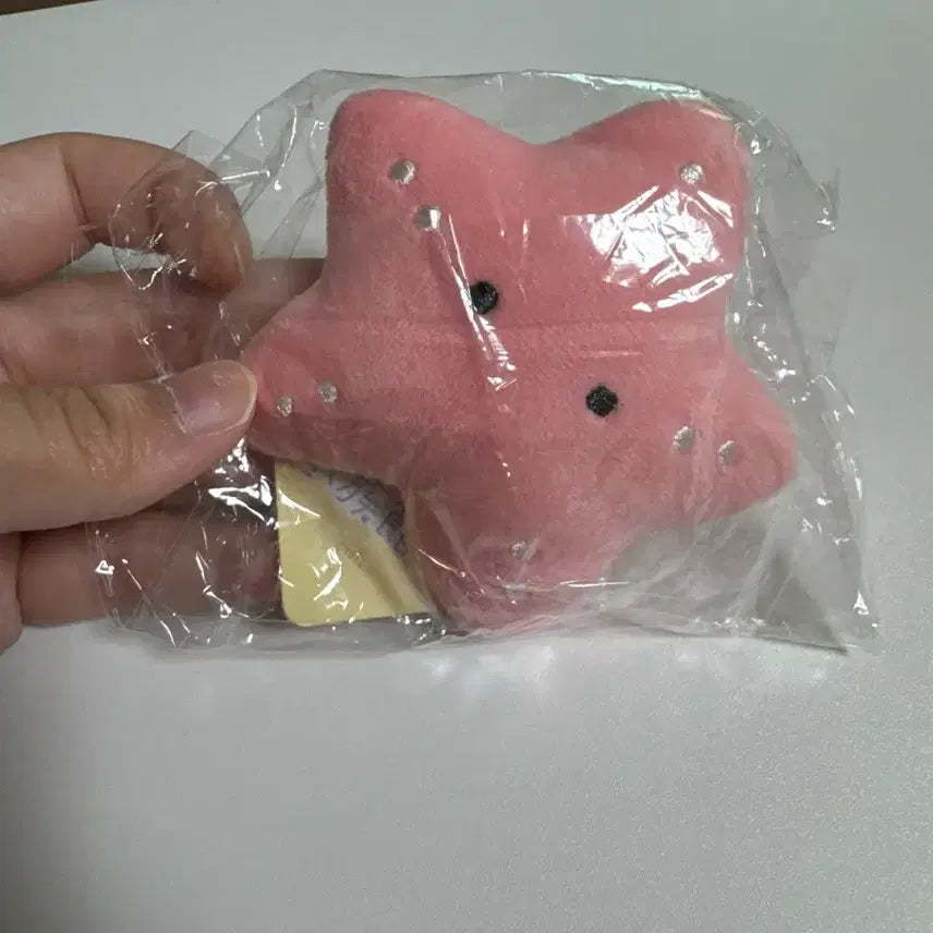 [BUNJANG] Kongnuni Starfish Keyring (Sealed) / 콩눈이 불가사리 키링 미개봉 새상품 판매중