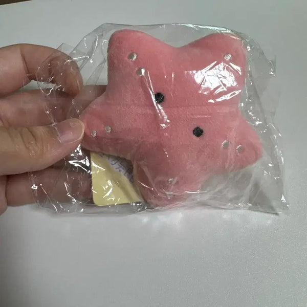 [BUNJANG] Kongnuni Starfish Keyring (Sealed) / 콩눈이 불가사리 키링 미개봉 새상품 판매중