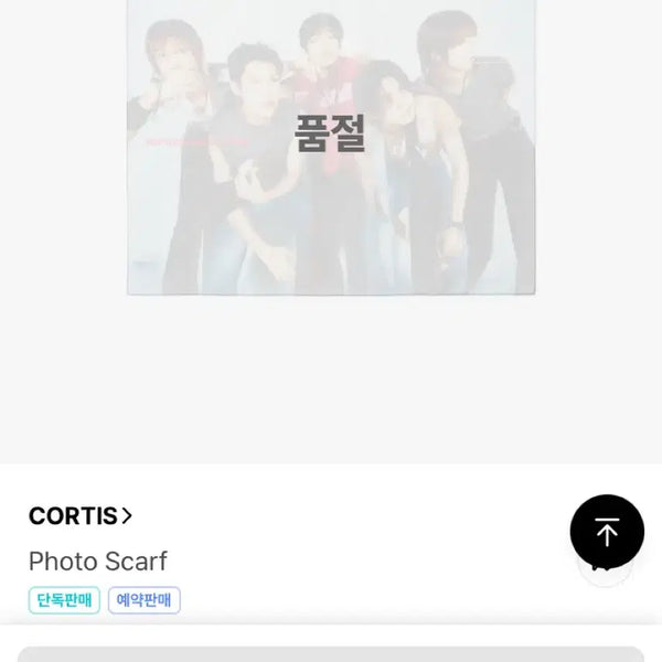 [BUNJANG] Courteis Photo Scarf / 코르티스 포토 스카프 Photo Scarf