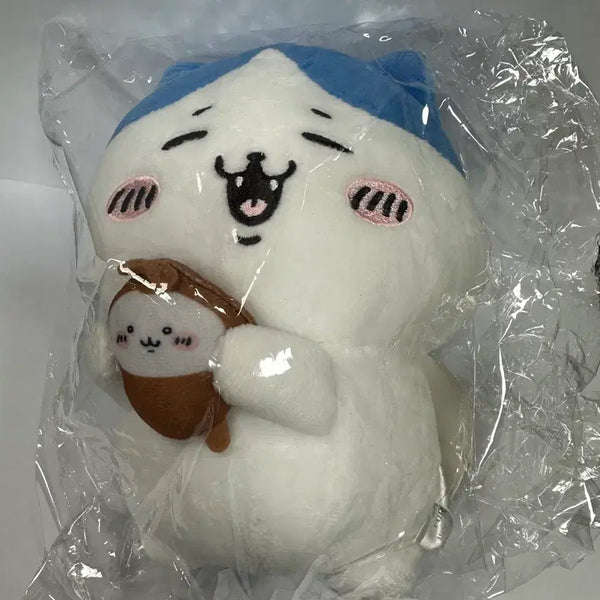 [BUNJANG] Hachitore Beetle Medium Plush / 하치와레 풍뎅이 중형 인형