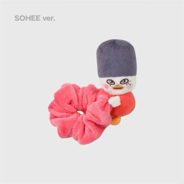 [BUNJANG] New Scrunchie / 똘병이 스크런치