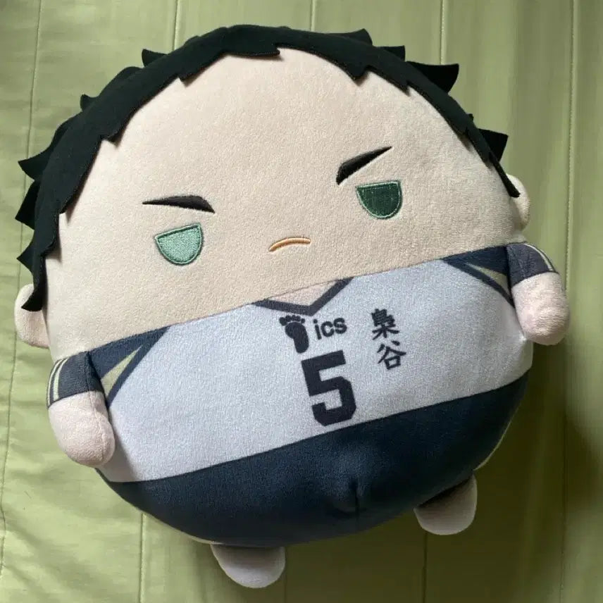 [BUNJANG] Haikyuu!! Akaashi Keiji Big Fuwa Plush / 아카아시 빅 후와