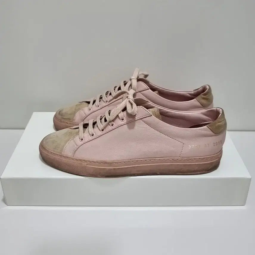 [BUNJANG] Common Projects Achilles Low Women's Sneakers Size 37 / 우먼 바이 커먼프로젝트 아킬레스 로우 37 240 여성 단화 운동화 스니커즈