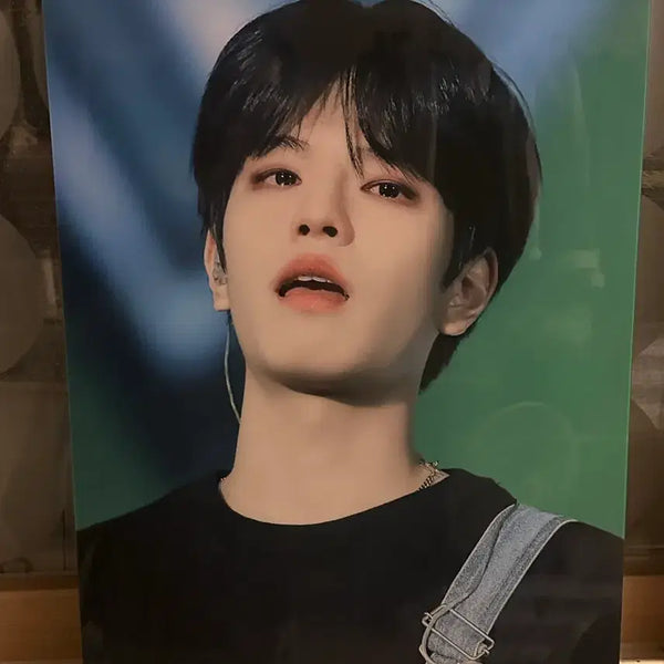 [BUNJANG] Stray Kids Seungmin A2 Frame / 스키즈 승민 A2 액자