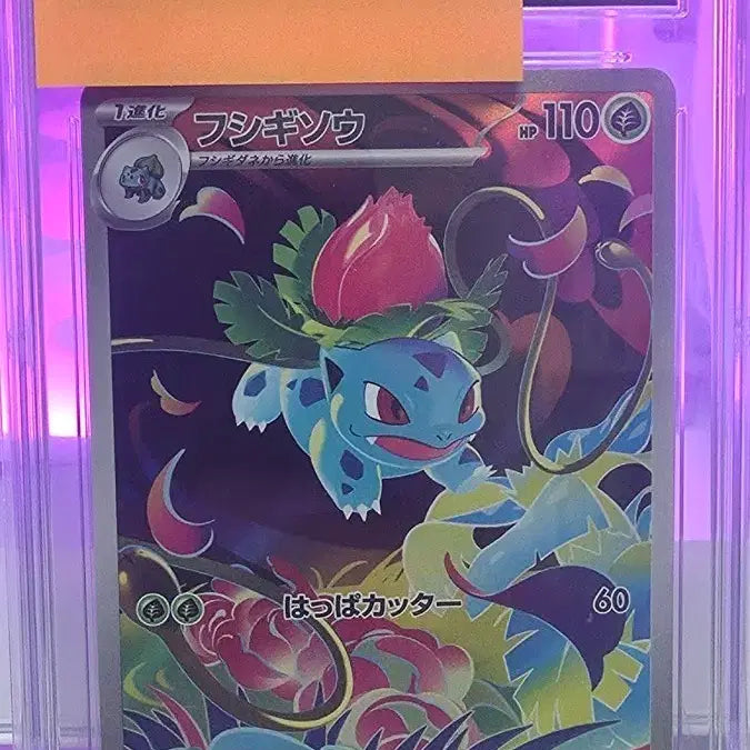 [BUNJANG] Pokemon Card Venusaur Pristine 10 (Japanese) / 포켓몬카드 일판 이상해풀 프리스틴 10등급