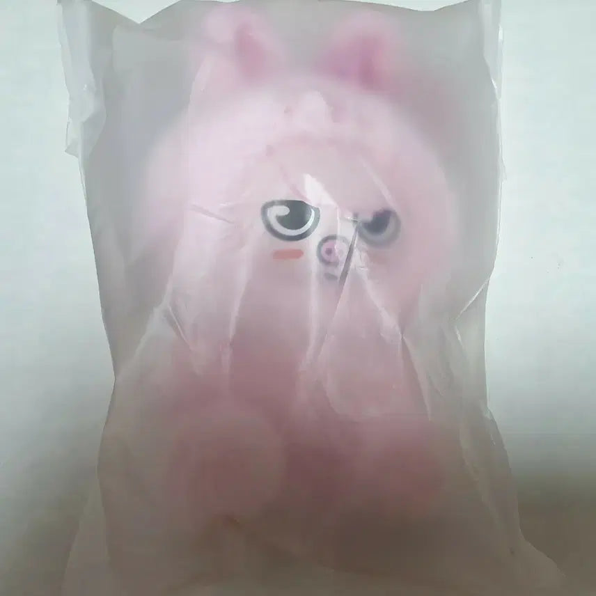 [BUNJANG] Stray Kids Changbin SKZOO Plush Toy Dwaekki Sealed / 스키즈 6기 팬미팅 스키주 플러시 토이 창빈 돼끼 미개봉