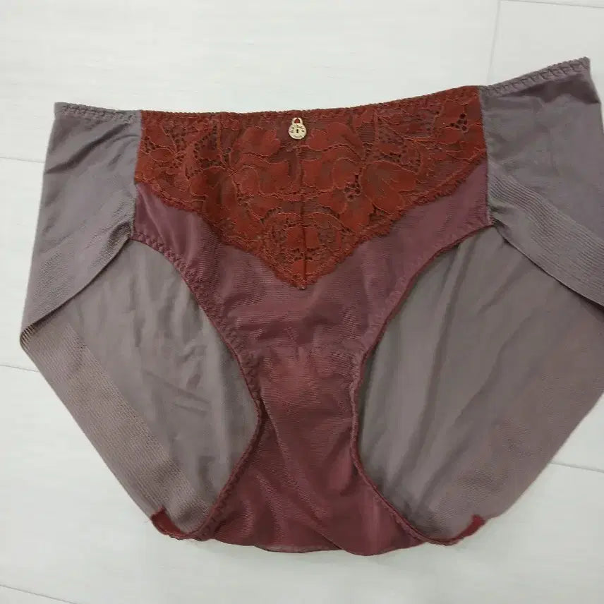 [BUNJANG] Women's Lace Detail Briefs / 여성속옷