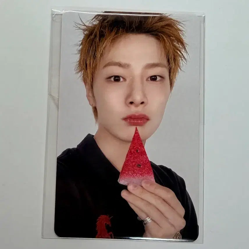 [BUNJANG] Stray Kids I.N This & That Fan Shop POB Sealed / 스트레이 키즈 아이엔 디스앤댓 팬즈 특전 미개봉