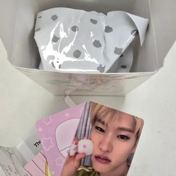 [BUNJANG] RIIZE Figure Album Sohee Photocard Bundle Set / 라이즈 피규어 앨범 소희 똘병 포카 풀박 양도