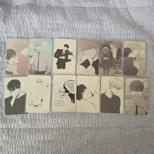 [BUNJANG] Checkmate MoFun 2023 Visit Photocard Full Set / 체크메이트 모펀 23년 방문포카 풀세트