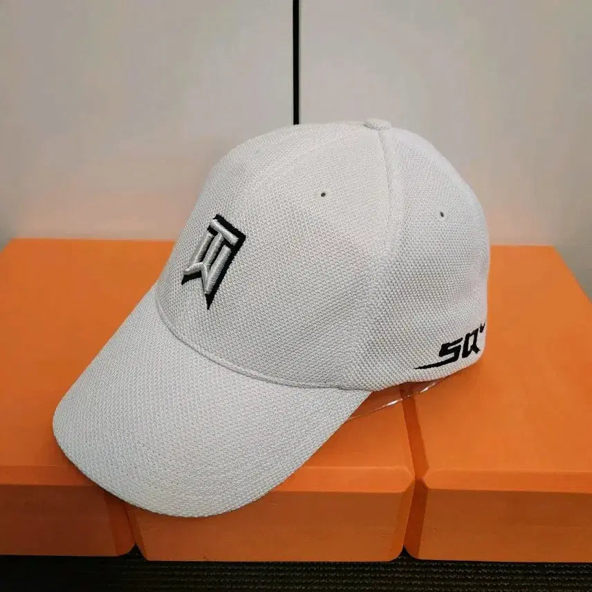 [BUNJANG] Nike Golf Tiger Woods Collection Vintage TW Golf Cap / NIKE GOLF TIGER WOODS COLLECTION 빈티지 타이거우즈 TW 골프캡