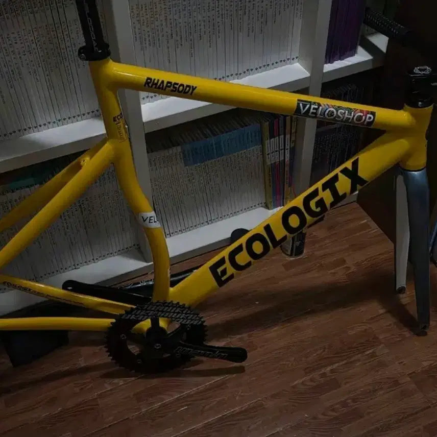 [BUNJANG] Ecolgics Rhapsody Bicycle / 에콜로직스 렙소디 반차