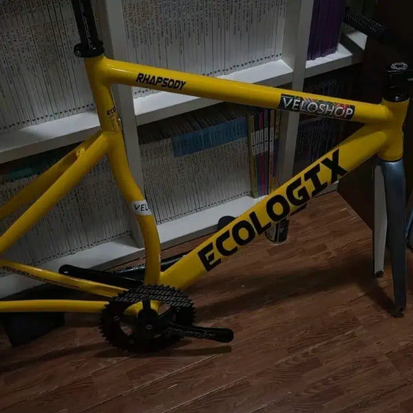 [BUNJANG] Ecolgics Rhapsody Bicycle / 에콜로직스 렙소디 반차