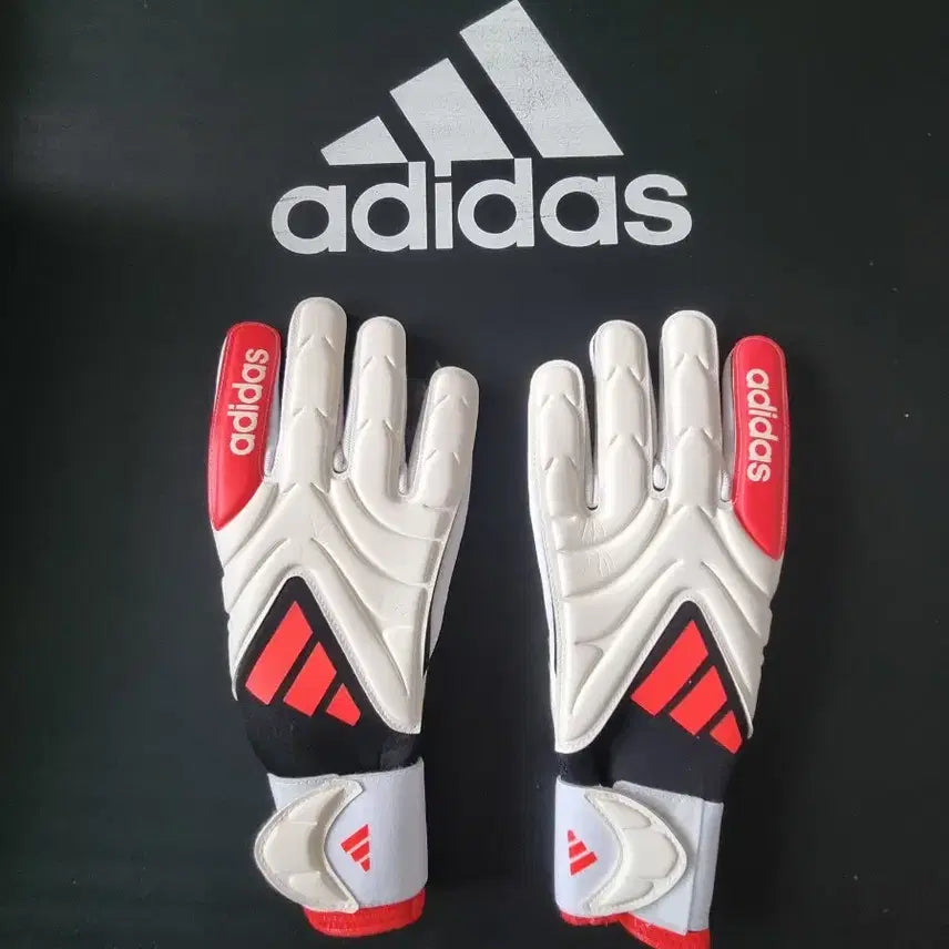 [BUNJANG] Adidas Copa Pro Goalkeeper Gloves Size 9 / 아디다스   골키퍼 장갑  (9호입니다)
